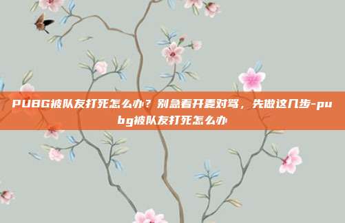 PUBG被队友打死怎么办?别急着开麦对骂,先做这几步-pubg被队友打死怎么办