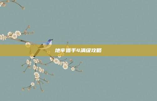 地牢猎手4满级攻略