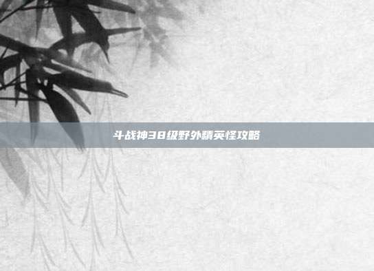 斗战神38级野外精英怪攻略