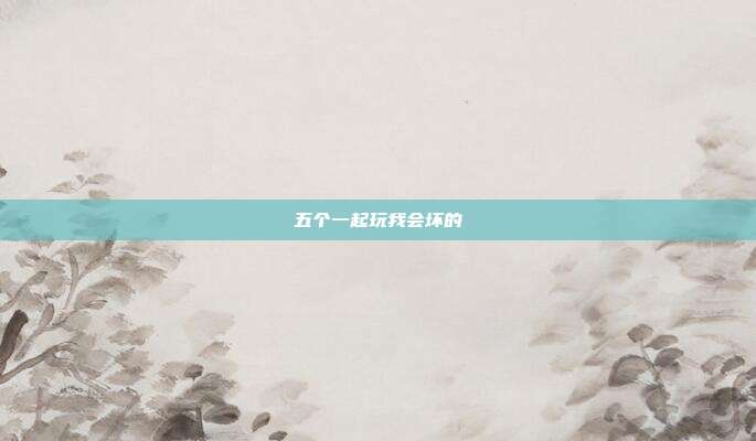 五个一起玩我会坏的