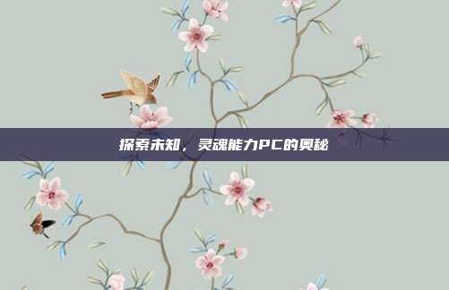 探索未知,灵魂能力PC的奥秘