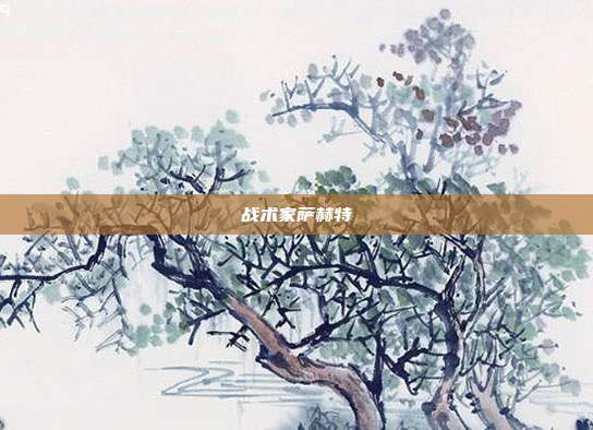 战术家萨赫特