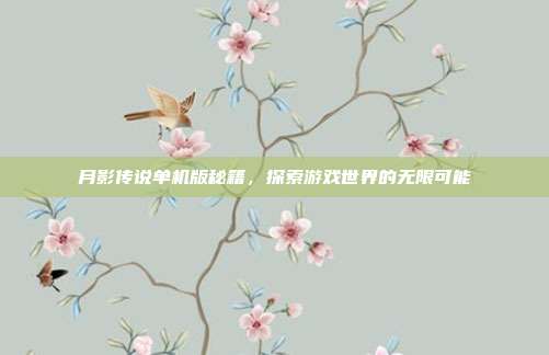月影传说单机版秘籍,探索游戏世界的无限可能