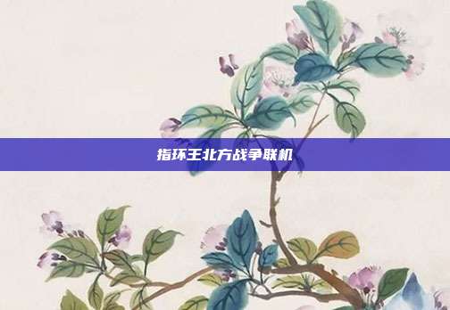 指环王北方战争联机