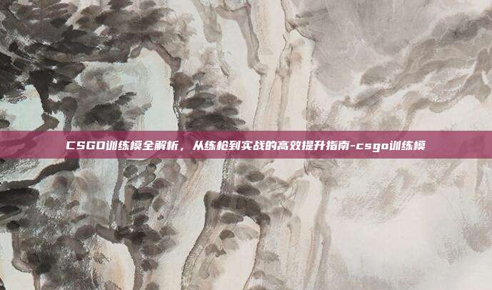 CSGO训练模全解析,从练枪到实战的高效提升指南-csgo训练模