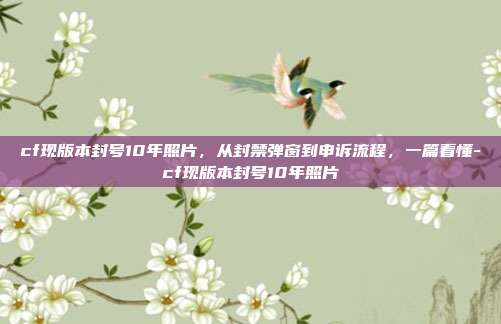 cf现版本封号10年照片,从封禁弹窗到申诉流程,一篇看懂-cf现版本封号10年照片