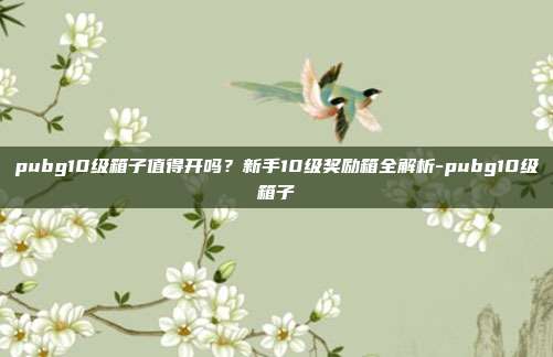 pubg10级箱子值得开吗?新手10级奖励箱全解析-pubg10级箱子
