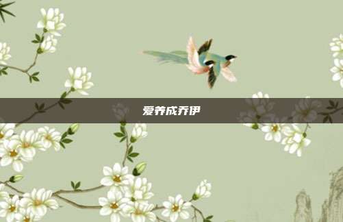 爱养成乔伊