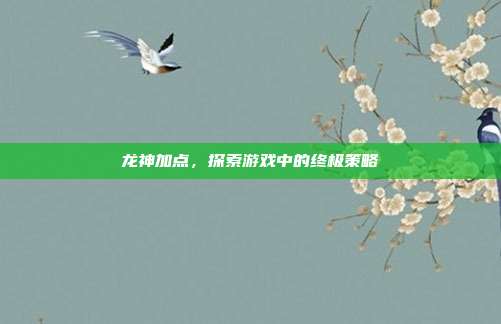 龙神加点,探索游戏中的终极策略