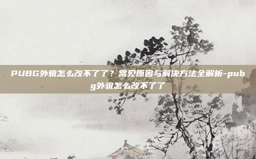 PUBG外貌怎么改不了了?常见原因与解决方法全解析-pubg外貌怎么改不了了