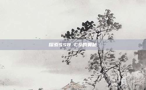 探索SSB C9的奥秘