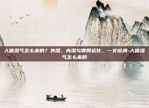 人体湿气怎么来的?外湿、内湿与脾胃运化,一文说清-人体湿气怎么来的