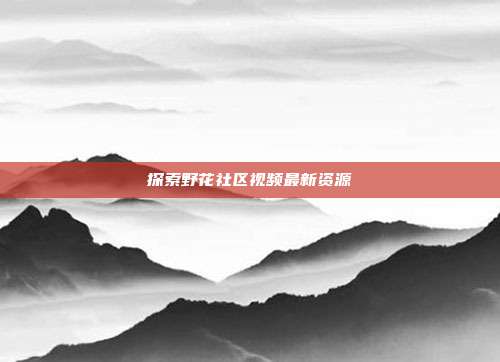 探索野花社区视频最新资源