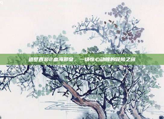 造梦西游2血海邪皇，一场惊心动魄的冒险之旅