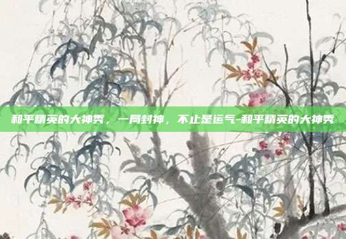 和平精英的大神秀,一局封神,不止是运气-和平精英的大神秀