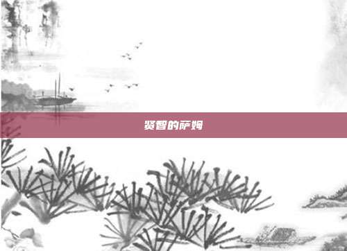 贤智的萨姆