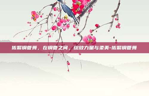 依繁钢管舞,在钢管之间,绽放力量与柔美-依繁钢管舞