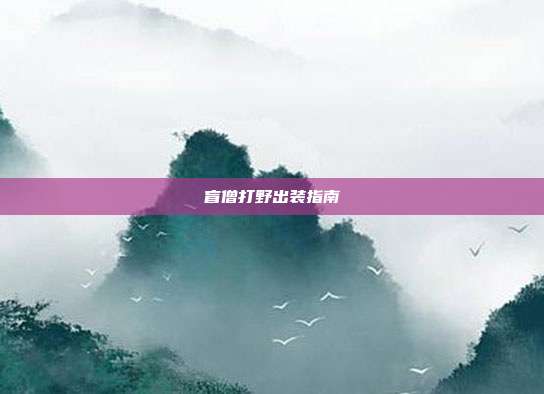 盲僧打野出装指南