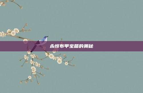 永恒布甲宝箱的奥秘