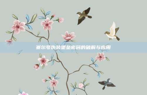 赛尔号伪装堡垒密码的破解与应用
