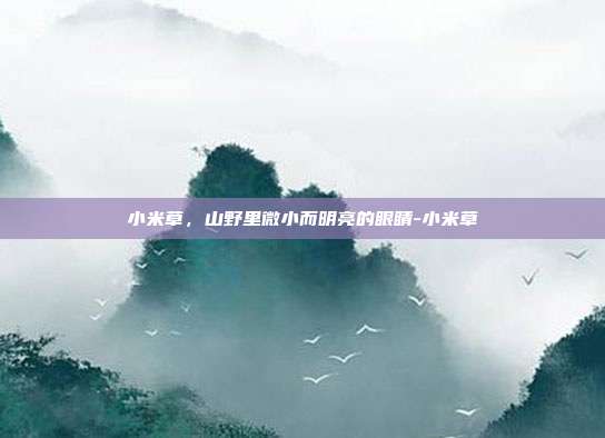 小米草,山野里微小而明亮的眼睛-小米草