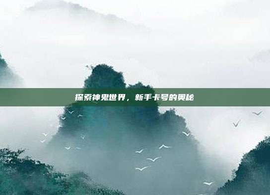 探索神鬼世界,新手卡号的奥秘