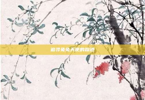 追寻兔兔天使的踪迹