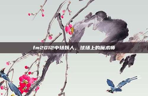 fm2012中场妖人,球场上的魔术师
