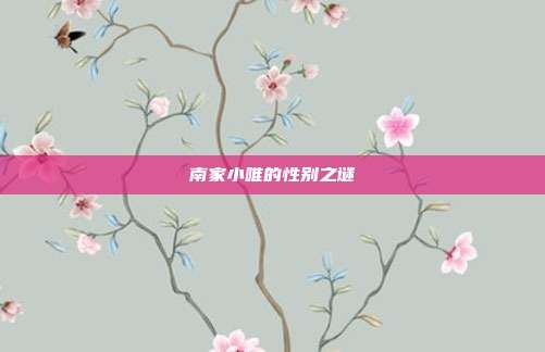 南家小唯的性别之谜