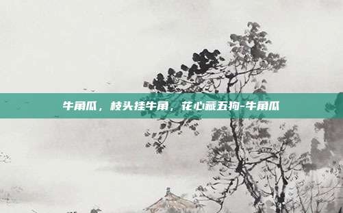 牛角瓜,枝头挂牛角,花心藏五狗-牛角瓜