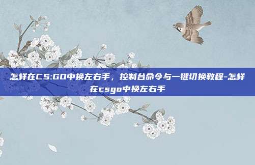 怎样在CS:GO中换左右手,控制台命令与一键切换教程-怎样在csgo中换左右手
