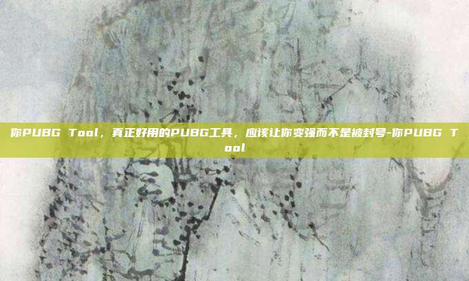 你PUBG Tool,真正好用的PUBG工具,应该让你变强而不是被封号-你PUBG Tool
