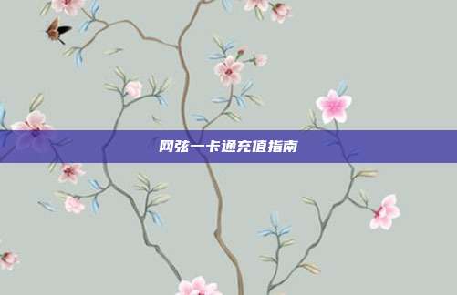 网弦一卡通充值指南