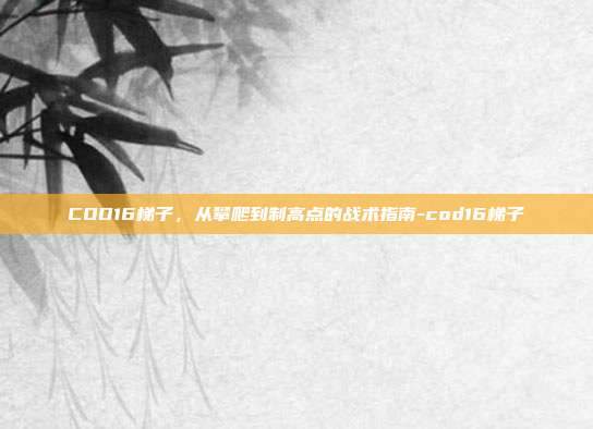 COD16梯子,从攀爬到制高点的战术指南-cod16梯子