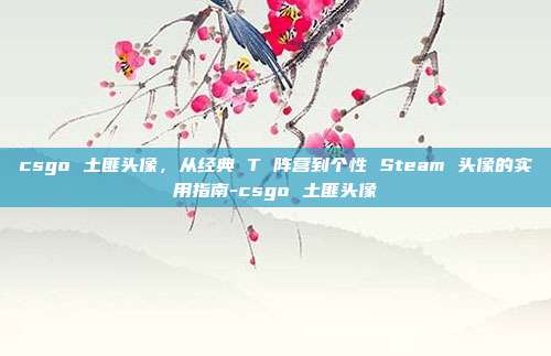 csgo 土匪头像,从经典 T 阵营到个性 Steam 头像的实用指南-csgo 土匪头像