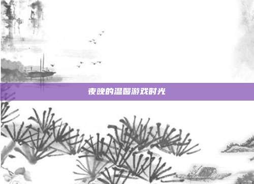 夜晚的温馨游戏时光