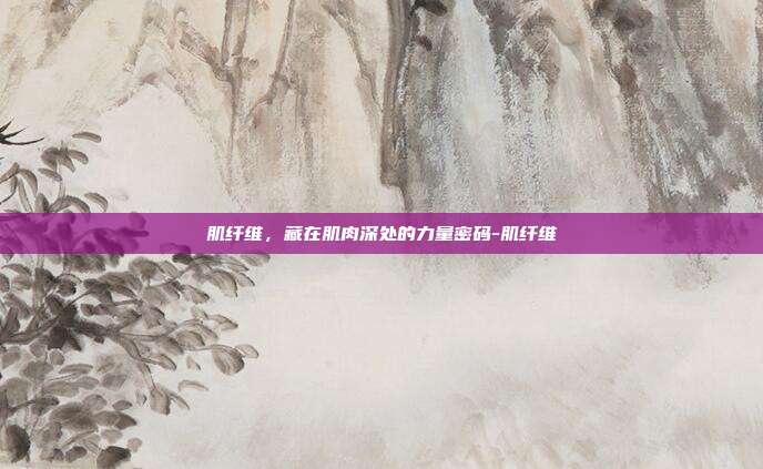 肌纤维,藏在肌肉深处的力量密码-肌纤维