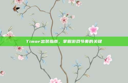 Timor出装指南,掌握游戏节奏的关键