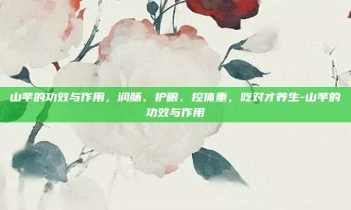 山芋的功效与作用,润肠、护眼、控体重,吃对才养生-山芋的功效与作用