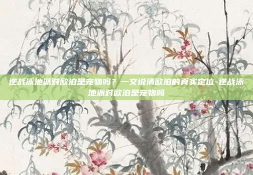 逆战泳池派对欧泊是宠物吗?一文说清欧泊的真实定位-逆战泳池派对欧泊是宠物吗
