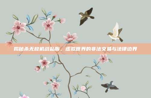 揭秘杀无赦机战私服,虚拟世界的非法交易与法律边界