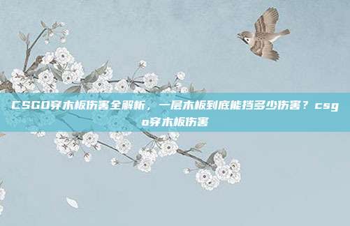 CSGO穿木板伤害全解析,一层木板到底能挡多少伤害?csgo穿木板伤害