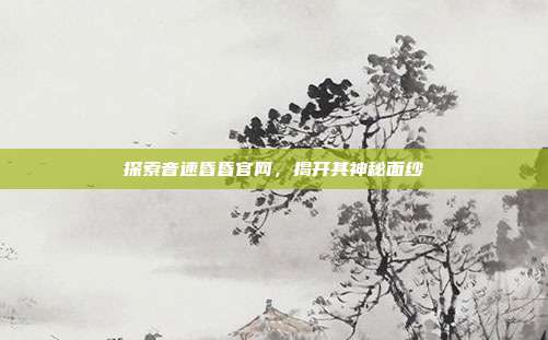 探索音速昏昏官网,揭开其神秘面纱