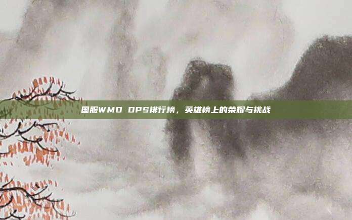 国服WMO DPS排行榜，英雄榜上的荣耀与挑战