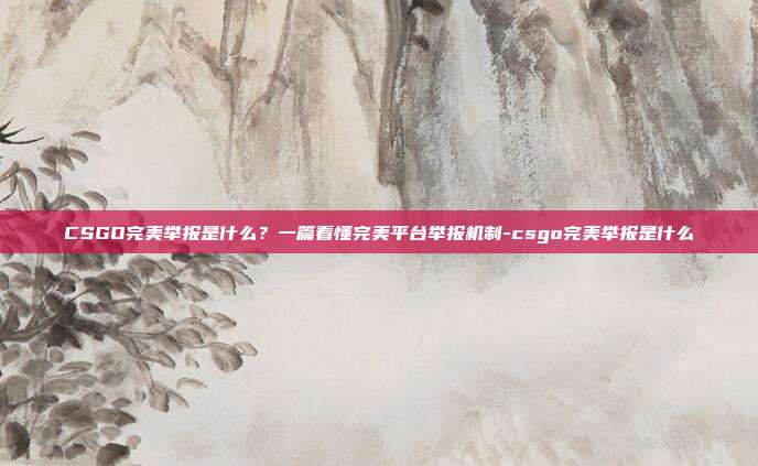 CSGO完美举报是什么？一篇看懂完美平台举报机制-csgo完美举报是什么