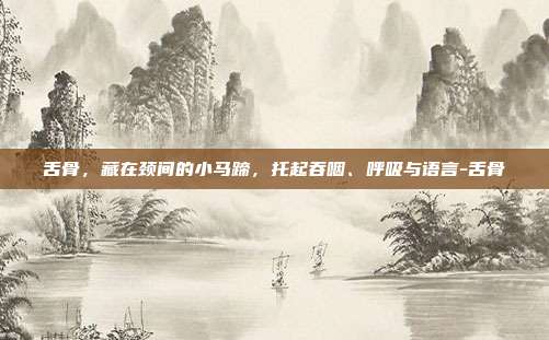 舌骨,藏在颈间的小马蹄,托起吞咽、呼吸与语言-舌骨