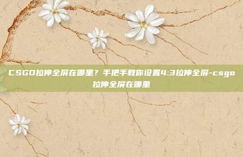 CSGO拉伸全屏在哪里?手把手教你设置4:3拉伸全屏-csgo拉伸全屏在哪里