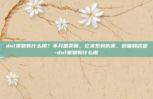 dnf宠物有什么用?不只是卖萌,它关系到伤害、奶量和名望-dnf宠物有什么用
