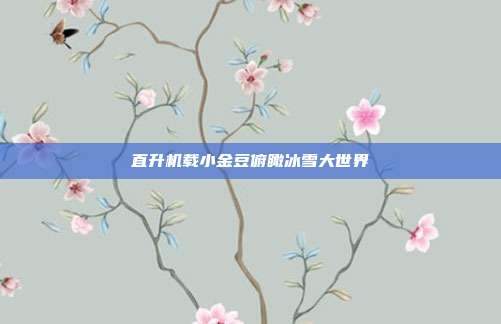 直升机载小金豆俯瞰冰雪大世界