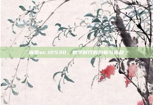 探索sc.12530，数字时代的创新与挑战